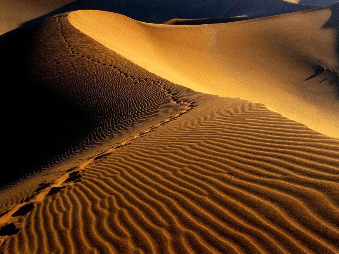 مسارٌ يُمشى بلا استعجال
